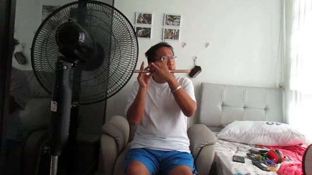 Excellent Dizi from Aliexpress смотреть онлайн