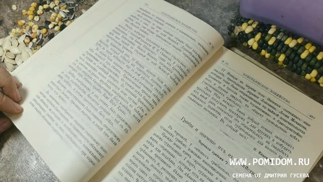 19 ВЕК. ТРЕЗВЫЕ СВАДЬБЫ! Как устраивались первые безалкогольные празднества на Руси. Факты смотреть онлайн