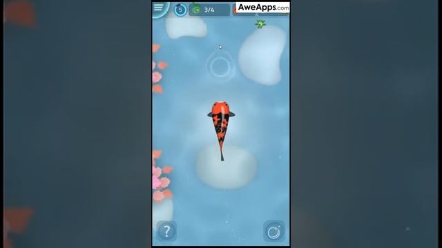 Zen Koi Gameplay - Obtaining Egg and Expending Pond смотреть онлайн