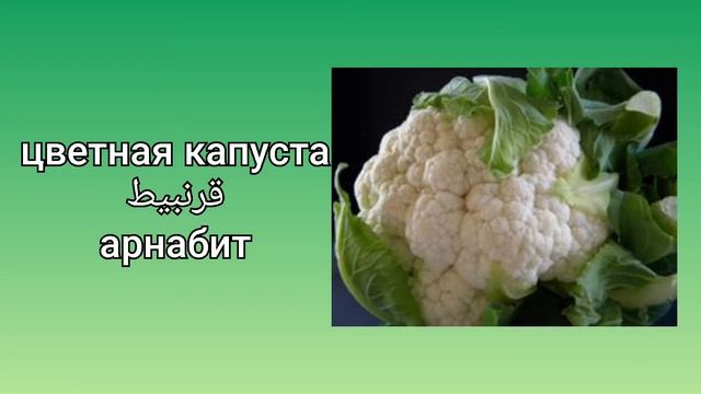 Уроки арабского языка 1 урок овощи часть 3 смотреть онлайн