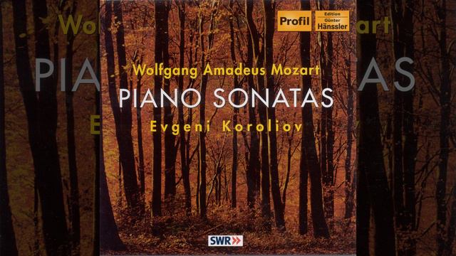 Piano Sonata No. 11 in A Major, K. 331: I. Variation 6: Allegro смотреть онлайн