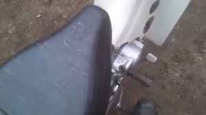 Suzuki birdie 50