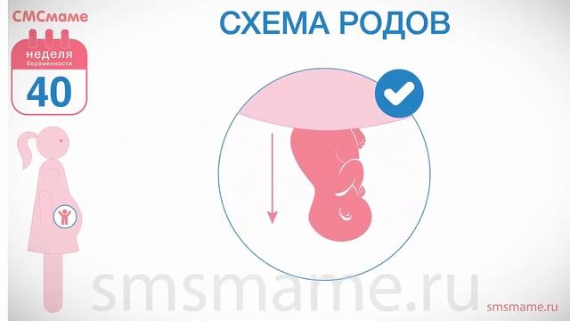 40 неделя беременности - как проходят роды, можно ли есть во время родов? смотреть онлайн