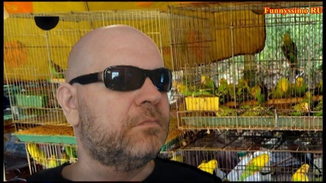 Анекдоты 2018 года - Эп.2 - Папугай хулиган. смотреть онлайн