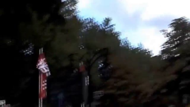 Düsseldorf city walk - Zentrum, Altstadt, Königsallee und Rheinpromenade смотреть онлайн