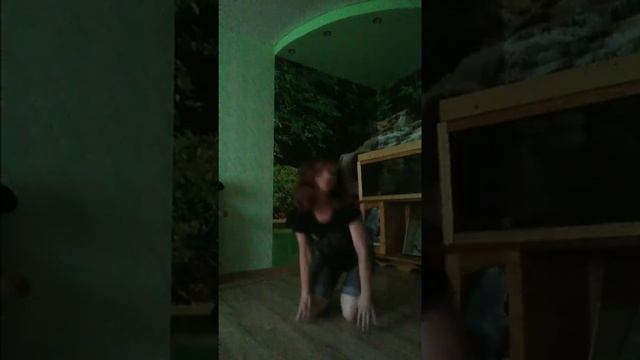 Танец земли!?️ смотреть онлайн