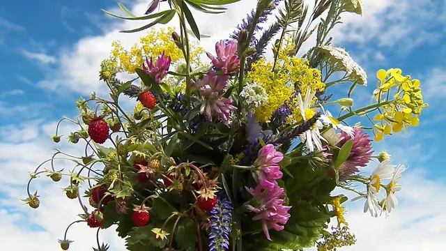 ГАЛЯ С ДНЕМ РОЖДЕНЬЯ ДАРЮ ЛЕТНИЙ БУКЕТИК смотреть онлайн