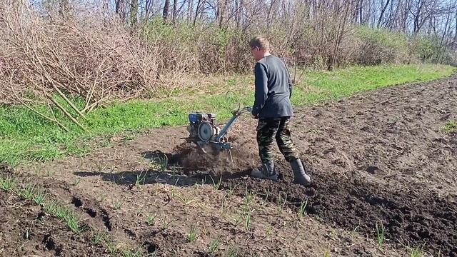 Культивируем огород / Уборка на клумбе смотреть онлайн