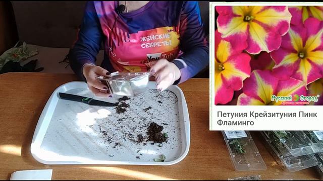 2 посылки от "Русского огорода". Пришла "вегетативка"! смотреть онлайн