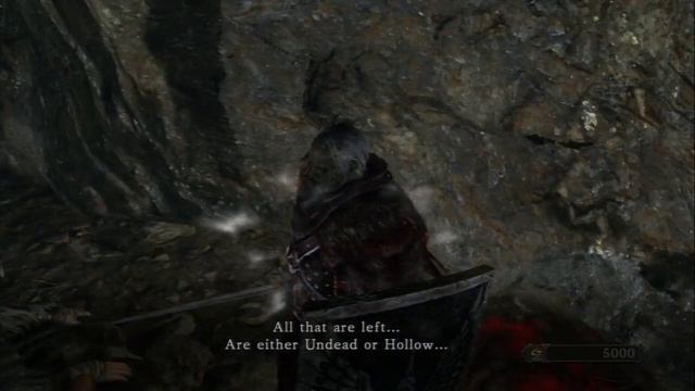 Dark Souls II NG+ - Huntman's Copse (Use Rotunda Lockstone) Felkin The Outcast Hexer's Armor Gift смотреть онлайн