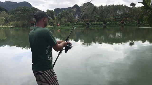 Карпфишинг TV :: Рыбалка в Таиланде с Carptoday. Ловля сиамских карпов.