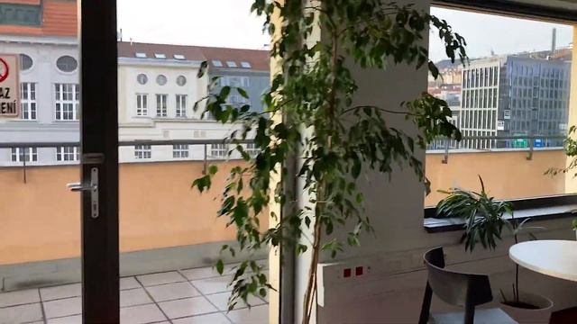 Один день из жизни программиста в Праге | Чем занимается Data Scientist