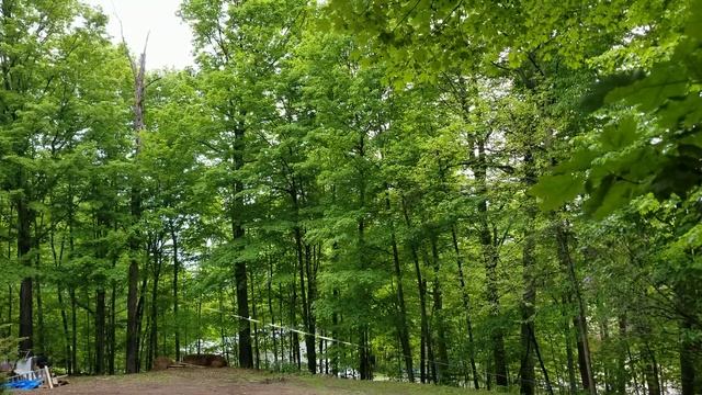 Redneck party prep смотреть онлайн