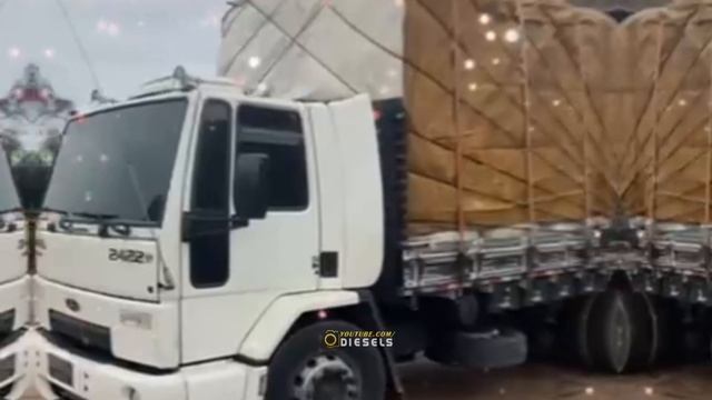 SÓ OS FORD CARGO QUE DESFILA NA RODAGEM смотреть онлайн