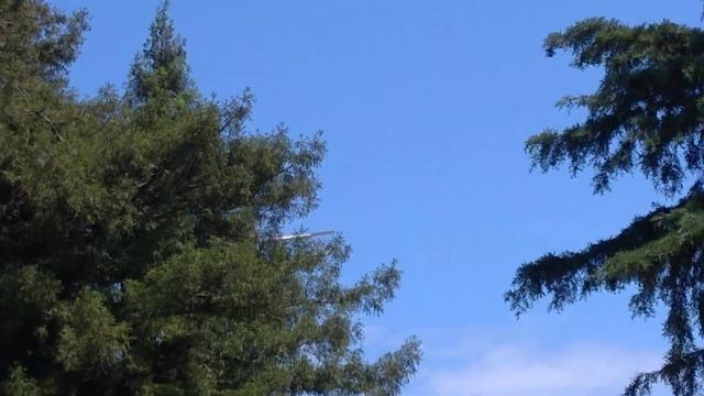 Снижение самолёта ATR-72 UTair в аэропорт Сочи смотреть онлайн