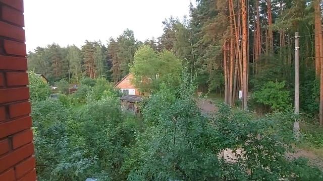 БАХТИ КУШ ПТИЦА СЧАСТЬЯ ДЛЯ ВСЕХ смотреть онлайн