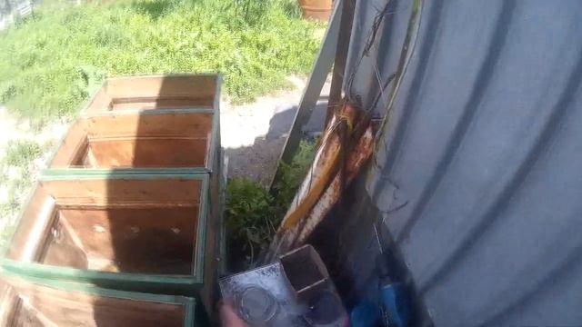 Как сделать ловушку для роя