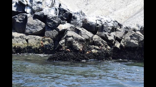 Chimbote ciudad hermosa смотреть онлайн