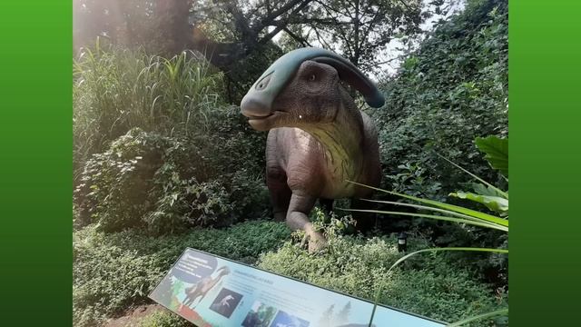 Bronx Zoo DINOSAUR SAFARI Accuracy Review! смотреть онлайн