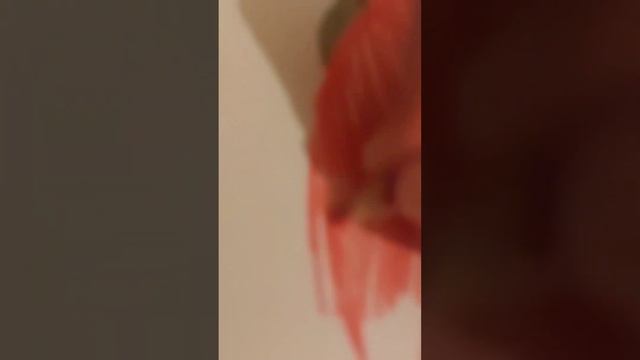Рисую рисунок на тему "20 января" напишите в комментариях как получился рисунок. Я оочень старалась смотреть онлайн