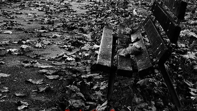 Bench12.AVI.avi смотреть онлайн