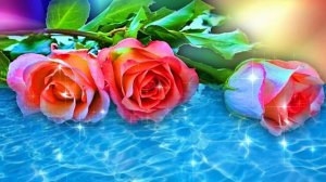 Футаж. Цветы над водой 12