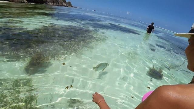 Остров Ла Диг, Сейшелы. Самый фотографируемый пляж в мире смотреть онлайн