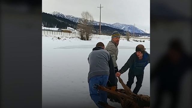 На Замерзшем Озере Случилась Беда. Местные Жители Бросились на Помощь смотреть онлайн