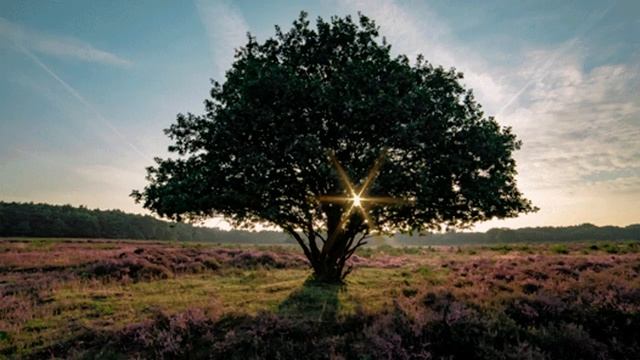 Rainy Night_ Soothing Sleep Musik #4