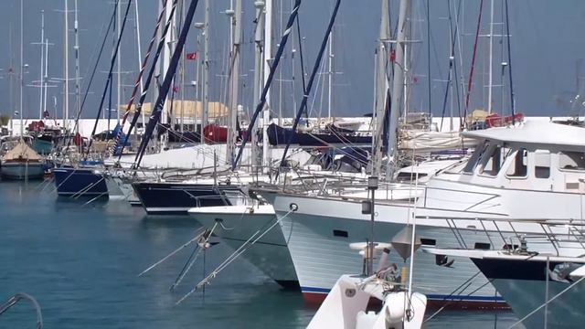 море и мелодии ночного города-1/1 смотреть онлайн