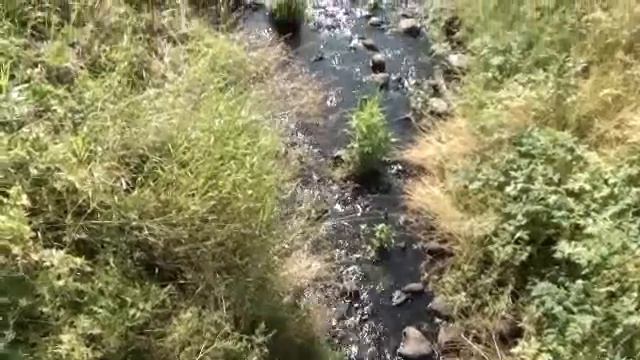 деревня Асавец.красоты природы смотреть онлайн