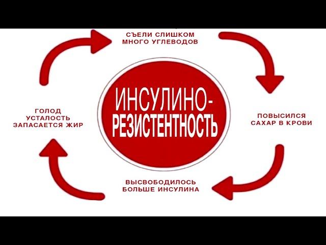 Эта болезнь есть у 80% и почти НИКТО о ней НЕ знает - Как снизить инсулинорезистентность? смотреть онлайн