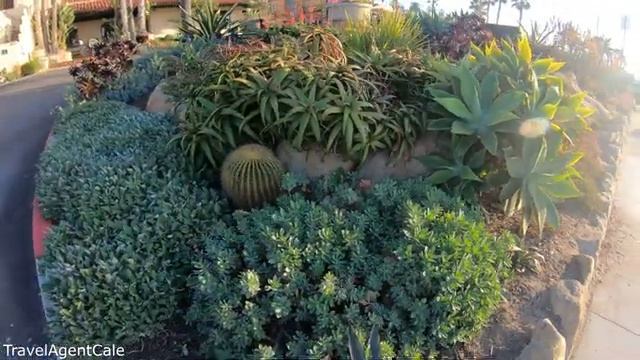 Aloe & Agave Beach Landscaping @ Casa de Mañana Retirement Community, La Jolla, California, 4K смотреть онлайн