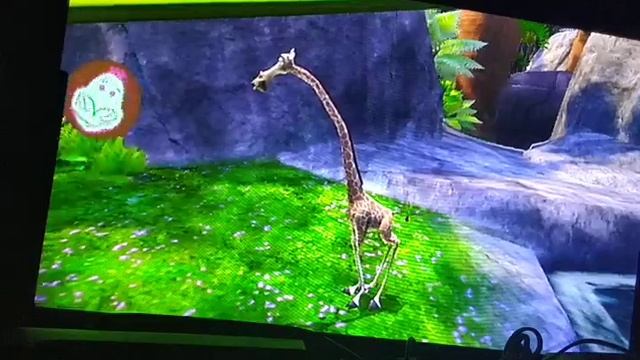 Madagascar 2:Escape Africa Walktrough Part 1 (Wii/PC/XBOX 360/PS2/PS3) смотреть онлайн