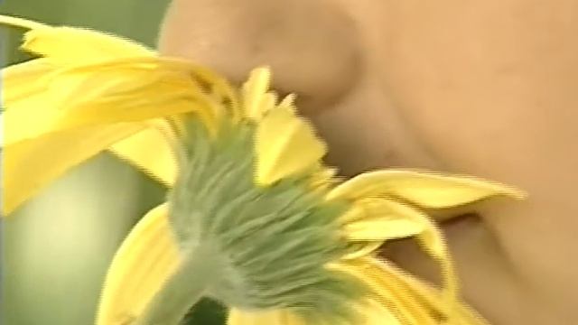 Тайна мозга человека вкус и запах смотреть онлайн