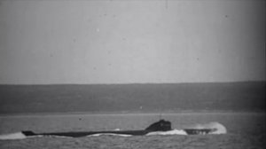 "Прощайте красотки !"  Александр Викторов (Автономка-1)