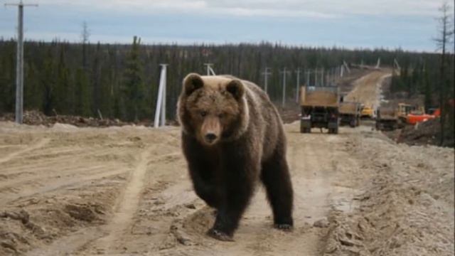 Крайний север смотреть онлайн