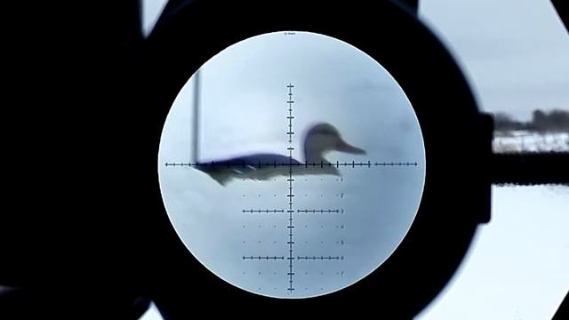 Hawke FRONTIER 30 SF 5-30х50 TMX, обзор оптического прицела смотреть онлайн