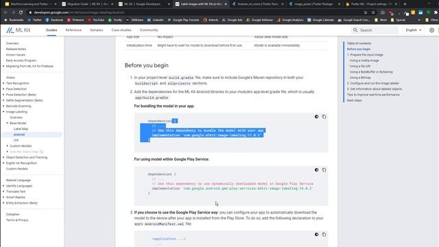 Flutter Machine Learning: Image Labelling смотреть онлайн