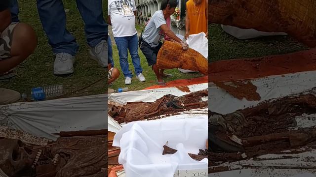 habwa minatay part1 19 years old na lalaki namatay dahil sa kidney failure смотреть онлайн