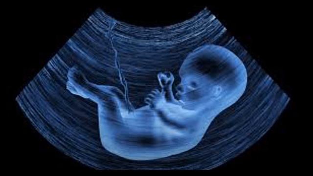 3 H Prenatal Sounds The Sounds Your Baby Hears In The Womb  Baby Sleeping Sounds  Clear White Noise
