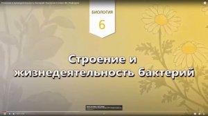 биология 7 класс Форма бактерийй, значение бактерий