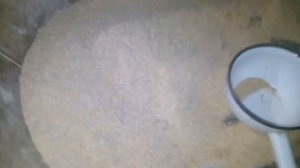 Выращивание бройлеров без заводского комбикорма.Делаем финиш.