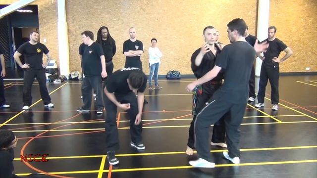 Pencak Silat Hugo Tronche - Extraits de stages смотреть онлайн