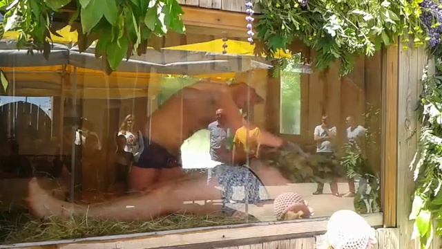 Общественная баня "Бани Пожидаева" Паневин Александр смотреть онлайн