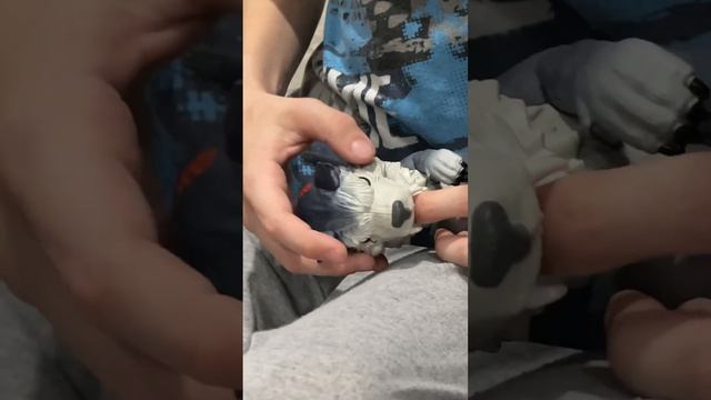 Распаковка новой интересной игрушки ? домашний вайб ? обзорчик смотреть онлайн