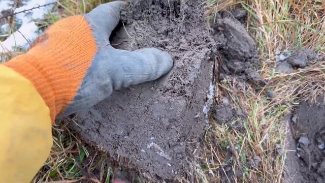Копаем в Мороз, находок мало, но у Камрада очень зачетный значок!!! WW2 смотреть онлайн