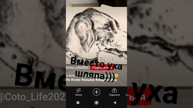 ? #рек #красиво #видео#собака#человек смотреть онлайн