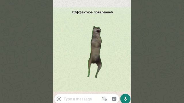 Солнечный Я 16 января 2024 год смотреть онлайн