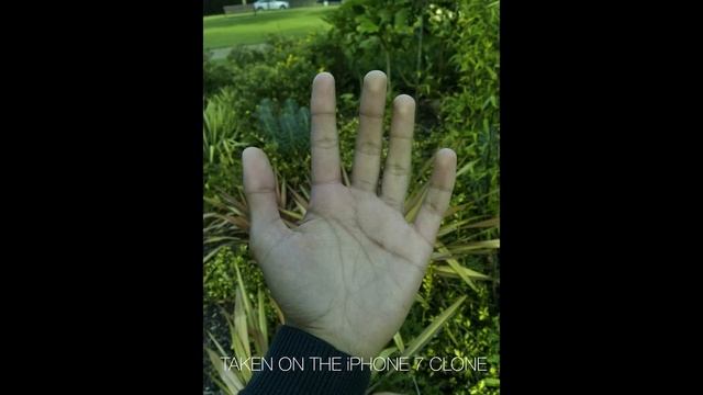 The $75 IPhone 7 Smartphone!